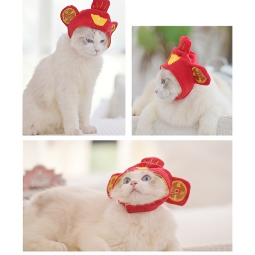 หมวกแมว18